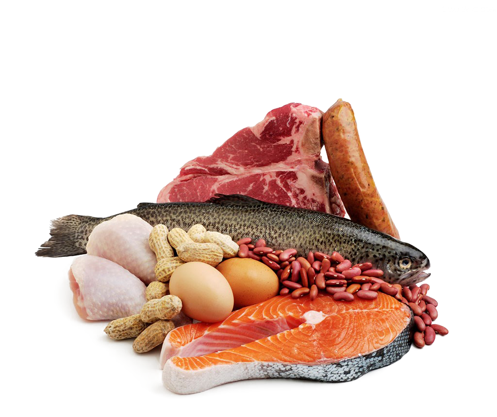 meat & seefood